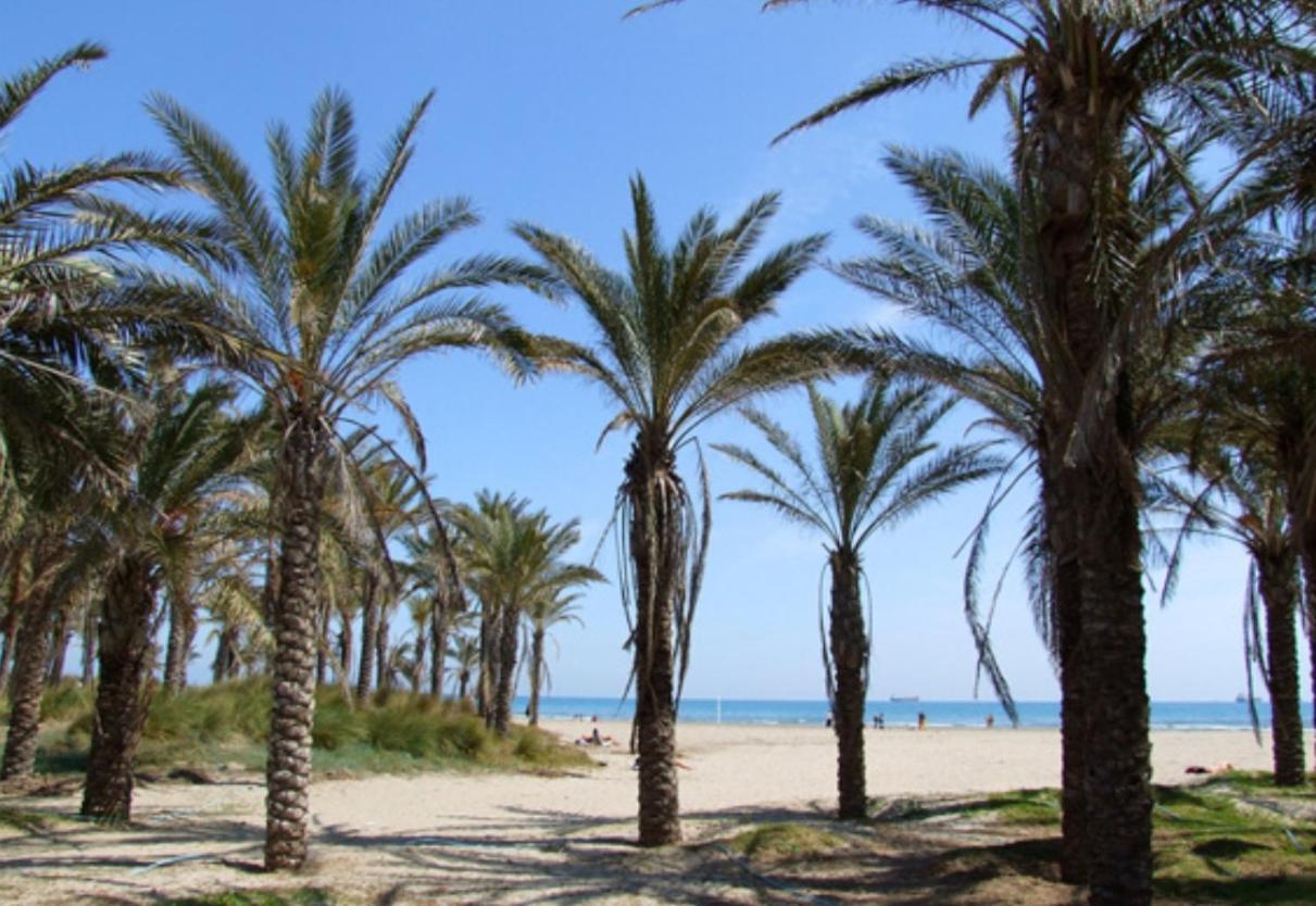 Nuevo En Calle Useras Castellón de la Plana Exteriér fotografie
